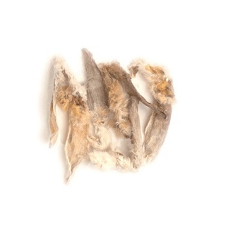 a004484_nf-tr018-1