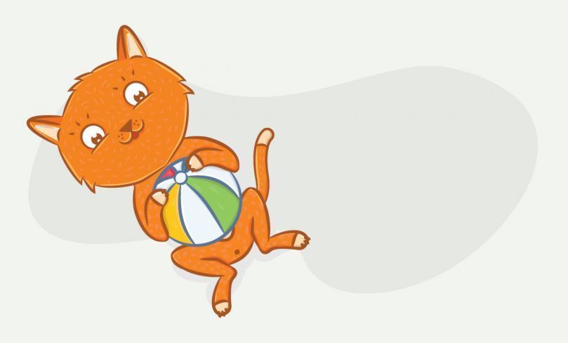 Любимые игрушки наших кошек