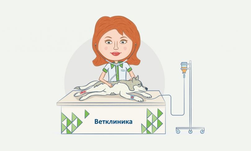 Как не ошибиться с выбором ветеринарной клиники.